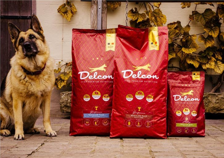 Delcon Hondenvoeding SNEL aan huis geleverd, Diensten en Vakmensen, Dieren | Honden | Verzorging, Oppas en Les