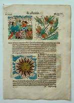 Conrad Lycosthenes - Prodigiorum ac Ostentorum Chronicon -, Antiek en Kunst