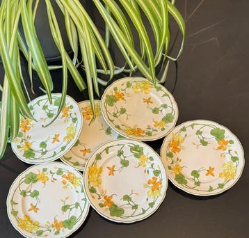 Villeroy & Boch - Plat (6) - Geranium - Porcelaine -