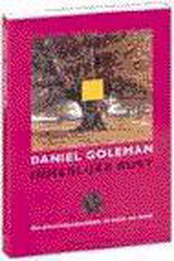 INNERLIJKE RUST 9789025421236 Daniel Goleman, Boeken, Verzenden, Zo goed als nieuw, Daniel Goleman