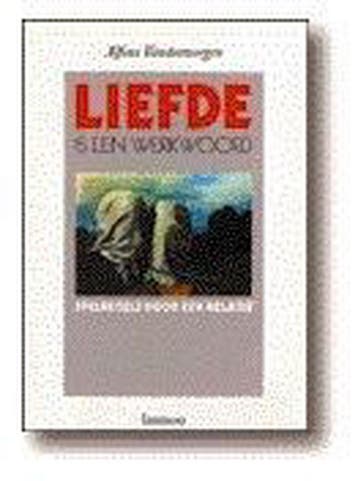 Liefde is een werkwoord 9789020918984 Vansteenwegen, Boeken, Verzenden, Gelezen, Vansteenwegen