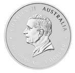 Australië. 1 Dollar 2026 Lunar III – Year of the Horse 1