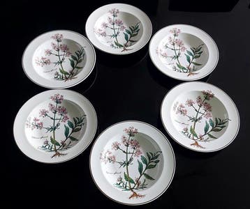 Villeroy & Boch - Assiette (6) - botanica - Porcelaine