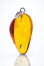 Opvallende gouden barnsteen – THRIPS-insect in detail