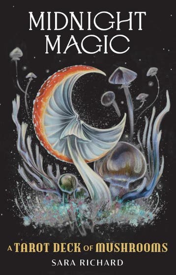Midnight Magic | Sara Richard | Nieuw, Verzenden, Nieuw, Sara Richard