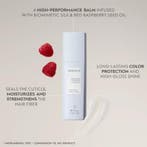 Kerasilk Specialists Color Sealer (Conditioner), Verzenden, Nieuw, Gel, Wax, Haarlak of Mousse