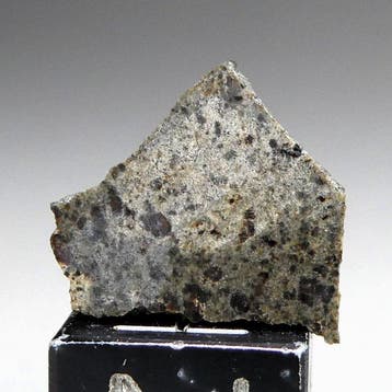 Amgala 001 - tranche de météorite martienne shergottite -