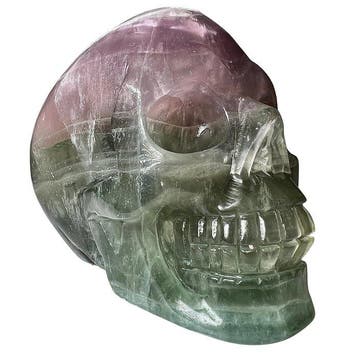 Premium schedel in fluoriet Gravure - Hoogte: 90 mm -