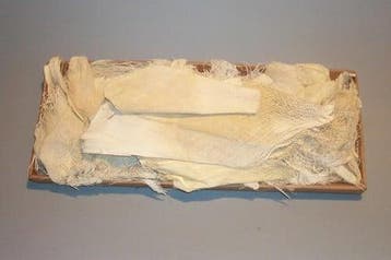 Palmblad Bakla Kokosblad Gebleekt ca. 500 gram, Nieuw
