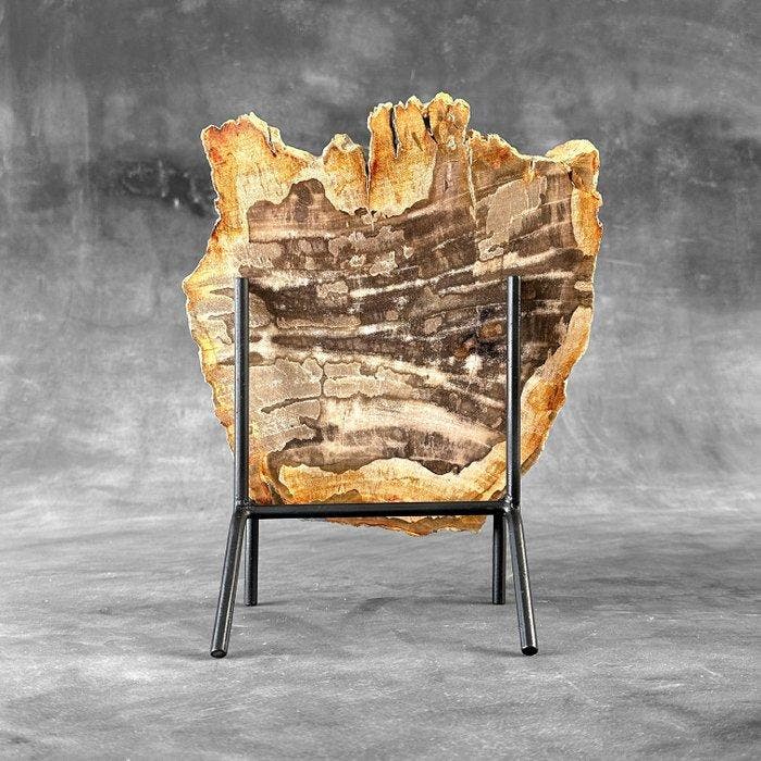 Magnifique tranche de bois pétrifié sur un socle, Antiquités & Art, Art | Objets design