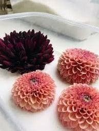 Silicagel prepareerzout voor het drogen van bloemen 3-5 mm