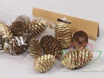 Dennenappel Ray Cones Goud 100 gram kleinverpakking, Hobby en Vrije tijd, Nieuw