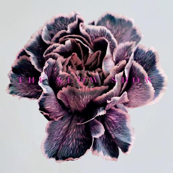 The Slow Show - Still Life, Cd's en Dvd's, Verzenden, Gebruikt