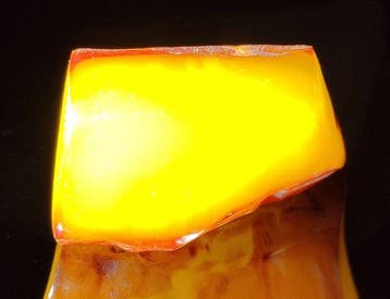 Baltisch amber - Hoogwaardige AAA- 30 g