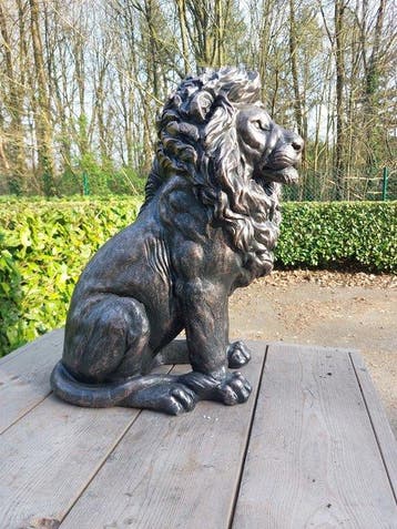 Beeld, garden statue in bronze color of lion - 60 cm -