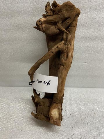 Am 676 Fine Sinkingwood 33x14x13 cm aquarium decoratie hout, Verzenden, Nieuw, Plant(en), Steen of Hout