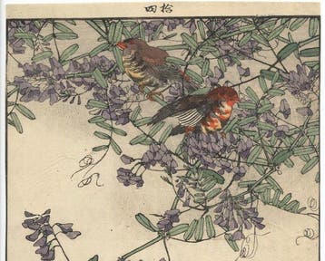 Bloemen en vogel uit Keinen Gachô Gafu - 1892 - Papier -