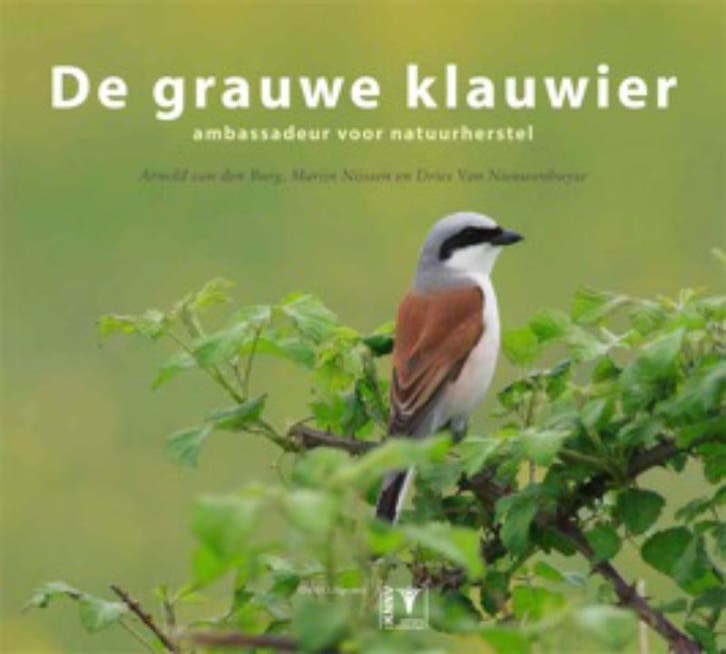 De grauwe klauwier 9789050113991 Arnold van den Burg, Boeken, Hobby en Vrije tijd, Gelezen, Verzenden