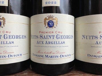 2023 Domaine Martin-Dufour Aux Argillas - Nuits St.