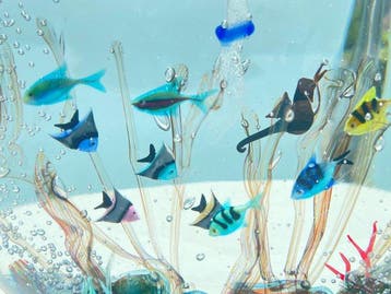 P. Signoretto - sculptuur, Importante Acquario in vetro di, Antiquités & Art, Antiquités | Verre & Cristal