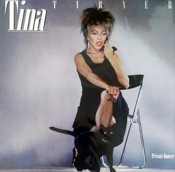 Tina Turner - Private Dancer, Verzenden, Gebruikt