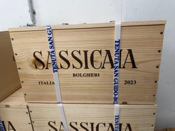 2023 Tenuta San Guido, Sassicaia - Bolgheri DOC - 6 Flessen, Nieuw