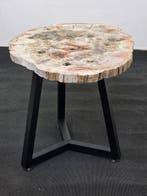 Gefossiliseerd hout - 46 cm - 60 cm, Verzamelen, Mineralen en Fossielen