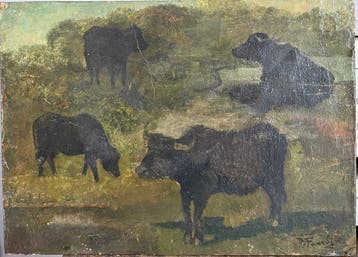 Ruggero Focardi (1864-1934), Attribuito a - Studio di mucche