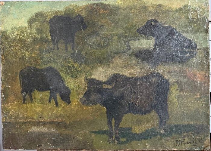 Ruggero Focardi (1864-1934), Attribuito a - Studio di mucche, Antiquités & Art, Art | Peinture | Classique