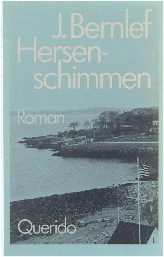 Hersenschimmen - Bernlef, Boeken, Literatuur, Verzenden