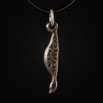 Viking periode Zilver Odin Raven hoofd amulet hanger,