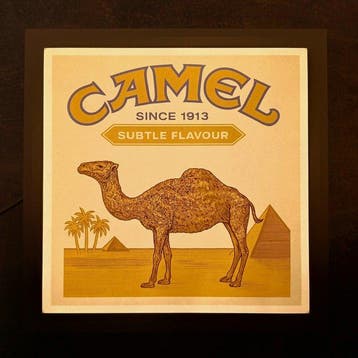 Camel - Lichtreclame bord van Camel - Lichtbord - Plastic,