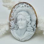 CASSIS MADAGASCARIENSIS - Cameo - Handgesneden camee
