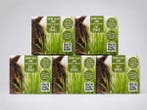 Veiling - 5x Katten Gras Kweekset Cat Grass, Nieuw