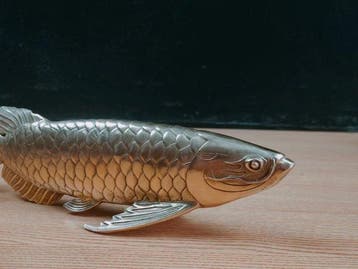 Beeldje - Arowana fish figurine - Brons