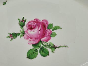Meissen - Große ovale Servierplatte, Rote Rose - Schaal -