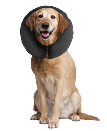 Zencollar the original ProCollar XLarge (Werktuigen), Ophalen of Verzenden