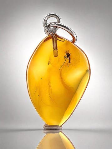 Prachtige amber MOSQUITO hanger – opvallende vleugelnerf en