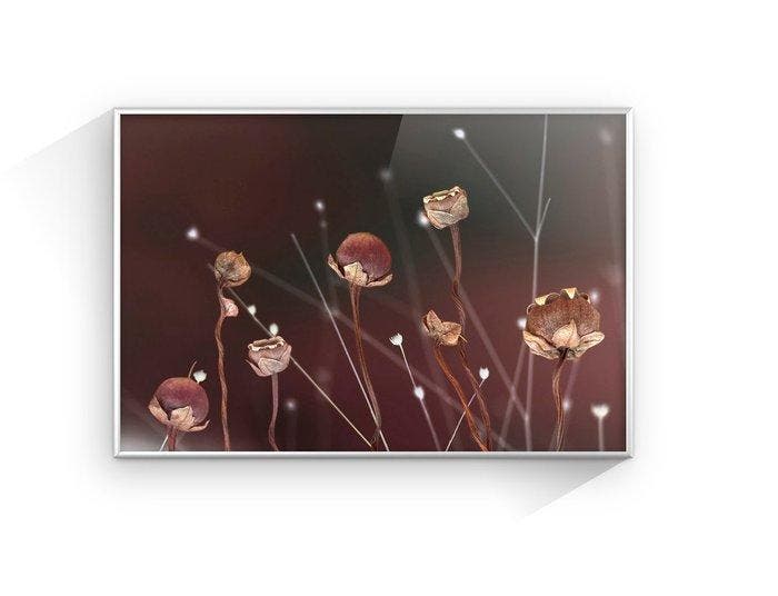 Susana Galbis (XX) - Como meteoritos, Antiek en Kunst, Kunst | Designobjecten