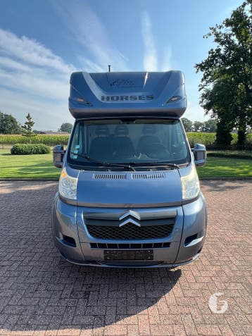 Nieuwstaat Citroën paardencamionette, opbouw 2023!, Ophalen, Zo goed als nieuw, Polyester, 2-paards trailer