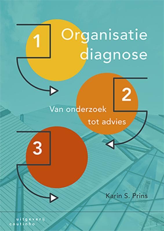 Organisatiediagnose 9789046906156 Karin S. Prins, Boeken, Studieboeken en Cursussen, Zo goed als nieuw, Verzenden