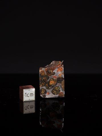 Météorite de Sericho Pallasites - 28 g - (1)