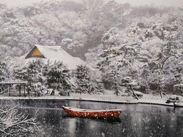 Steve McCurry (1950–) - Sankei-en Garden snow-covered in
