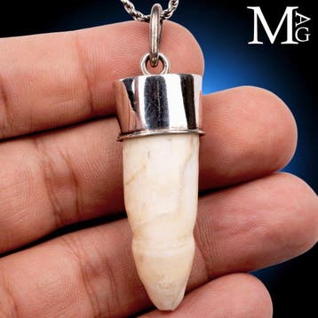 Bijou en argent - Amulette avec dent naturelle Dent - Dente