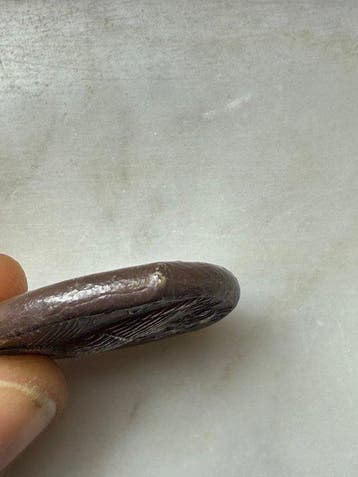 Replica van een oude Griek Zilver Zilveren munt afbreken -
