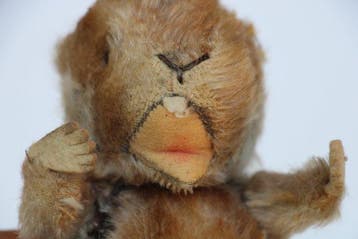 Steiff: Piff de marmot, 1970, 17cm. - Ours en peluche -