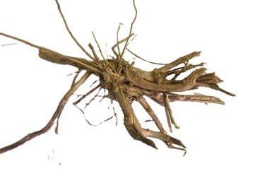 Driftwood Selected DW27 - 45x23x15cm (Small drift wood), Ophalen of Verzenden, Plant(en), Steen of Hout