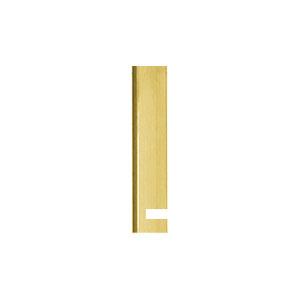 Intersteel Stangenset tbv pomp-espagnolet messing gelakt, Ophalen of Verzenden, Nieuw