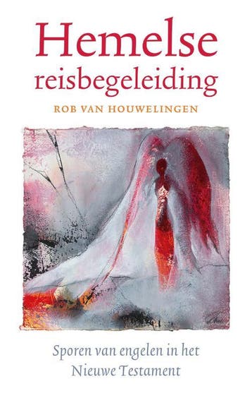 Hemelse reisbegeleiding 9789043535809 Rob van Houwelingen, Verzenden, Rob van Houwelingen