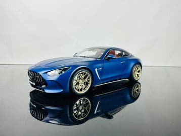NZG 1:12 - Modelauto - Mercedes-AMG GT63 4Matic+ - Beperkt